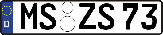 MS-ZS73