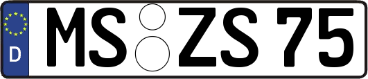 MS-ZS75