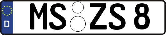 MS-ZS8