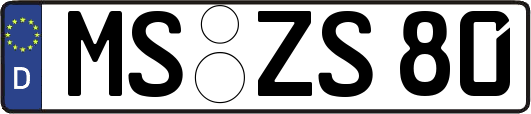 MS-ZS80