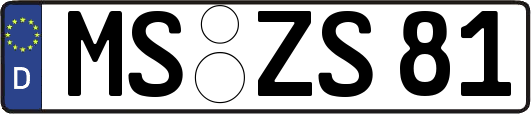 MS-ZS81