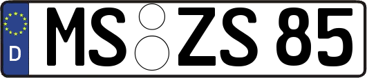 MS-ZS85