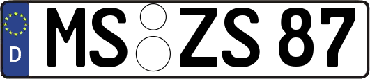 MS-ZS87