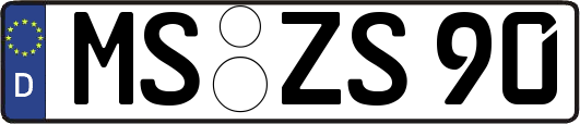 MS-ZS90