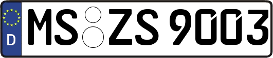 MS-ZS9003