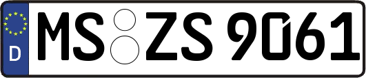 MS-ZS9061