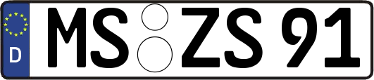 MS-ZS91