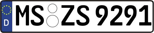 MS-ZS9291
