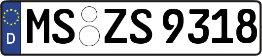 MS-ZS9318