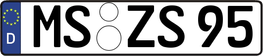 MS-ZS95