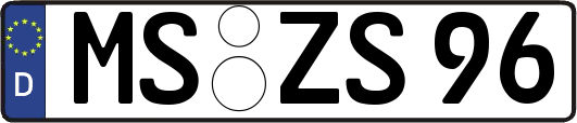MS-ZS96