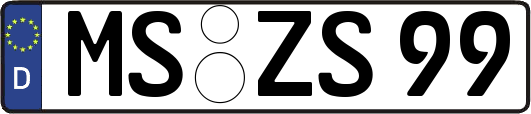 MS-ZS99
