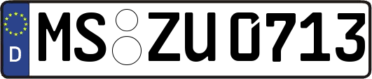 MS-ZU0713