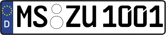 MS-ZU1001