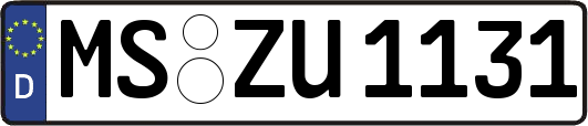 MS-ZU1131