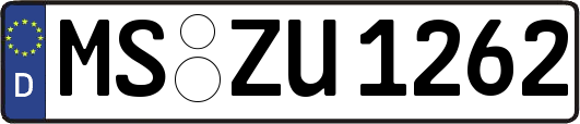 MS-ZU1262