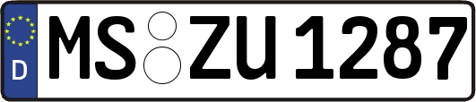 MS-ZU1287