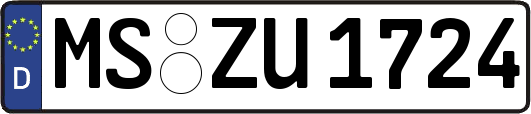 MS-ZU1724