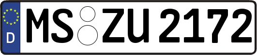 MS-ZU2172