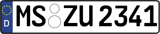MS-ZU2341