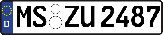 MS-ZU2487