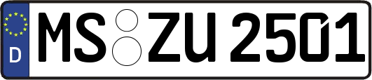 MS-ZU2501