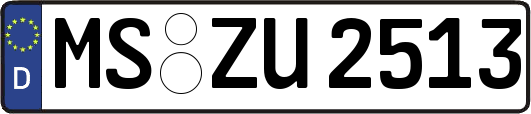 MS-ZU2513
