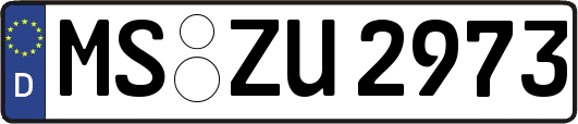 MS-ZU2973