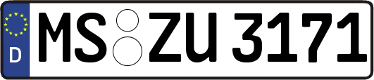 MS-ZU3171