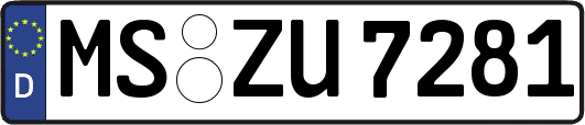 MS-ZU7281