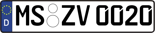 MS-ZV0020