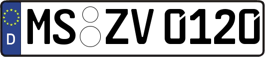 MS-ZV0120