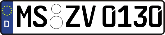 MS-ZV0130