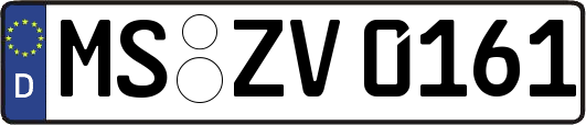 MS-ZV0161
