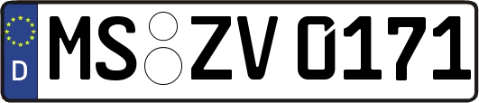 MS-ZV0171