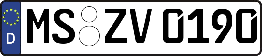 MS-ZV0190