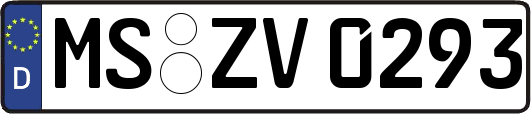 MS-ZV0293
