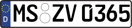 MS-ZV0365