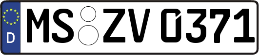 MS-ZV0371