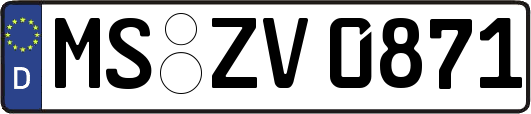 MS-ZV0871