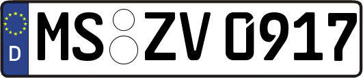 MS-ZV0917