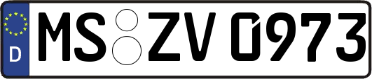 MS-ZV0973