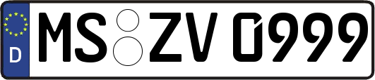 MS-ZV0999