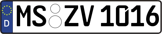 MS-ZV1016