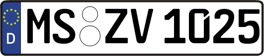 MS-ZV1025