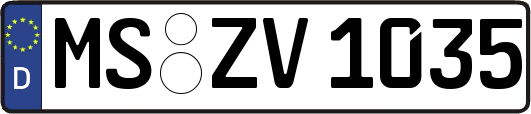 MS-ZV1035