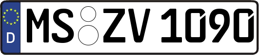 MS-ZV1090