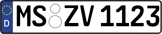 MS-ZV1123
