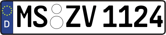 MS-ZV1124