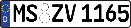 MS-ZV1165